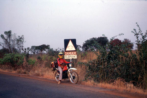 210_KarenMotoElephantSign