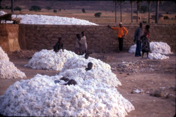 KidsInCotton