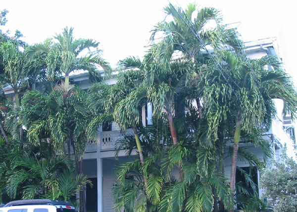 FL078