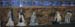 01 AirportNativity