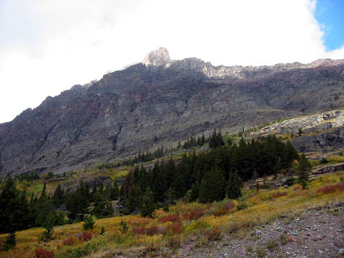 040IMG_4221
