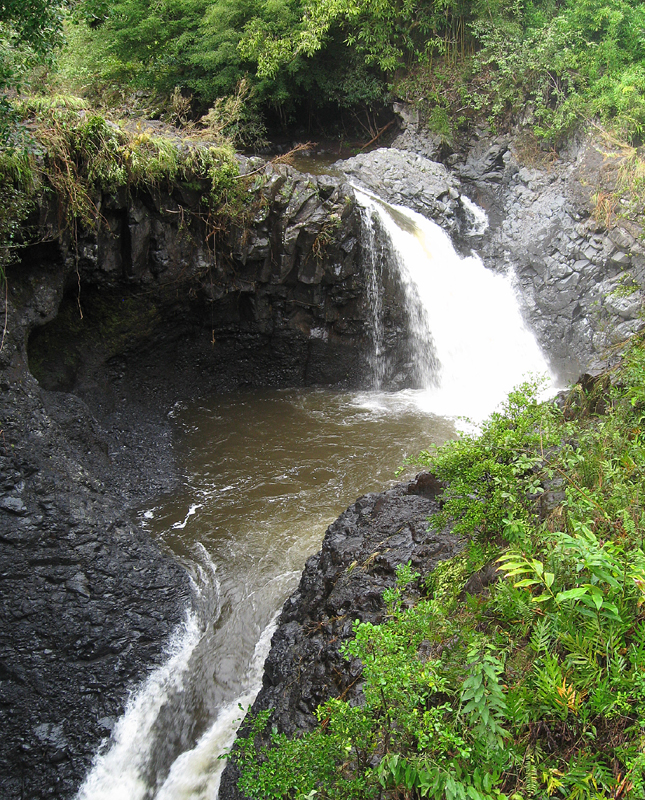 IMG_0959_BambooForest