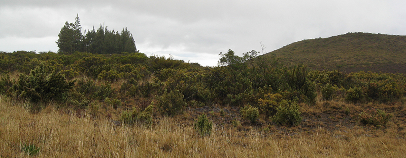 IMG_0974_HaleakalaDescent