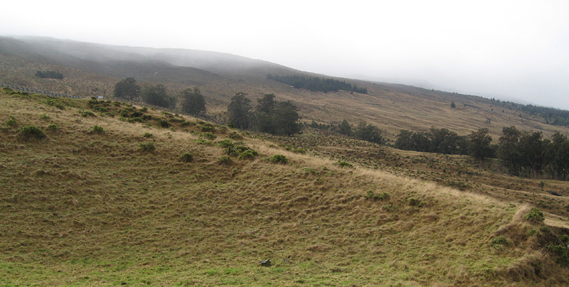 IMG_0979_HaleakalaDescent